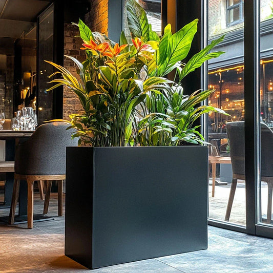 Large Indoor Planters: Make a Statement in Style