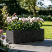 Transform Your Space with Trough Planters