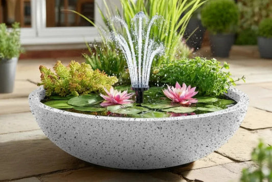 Pond in a Pot – Create a Mini Water Garden in Minutes