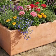 Trough terracotta planter on patio.